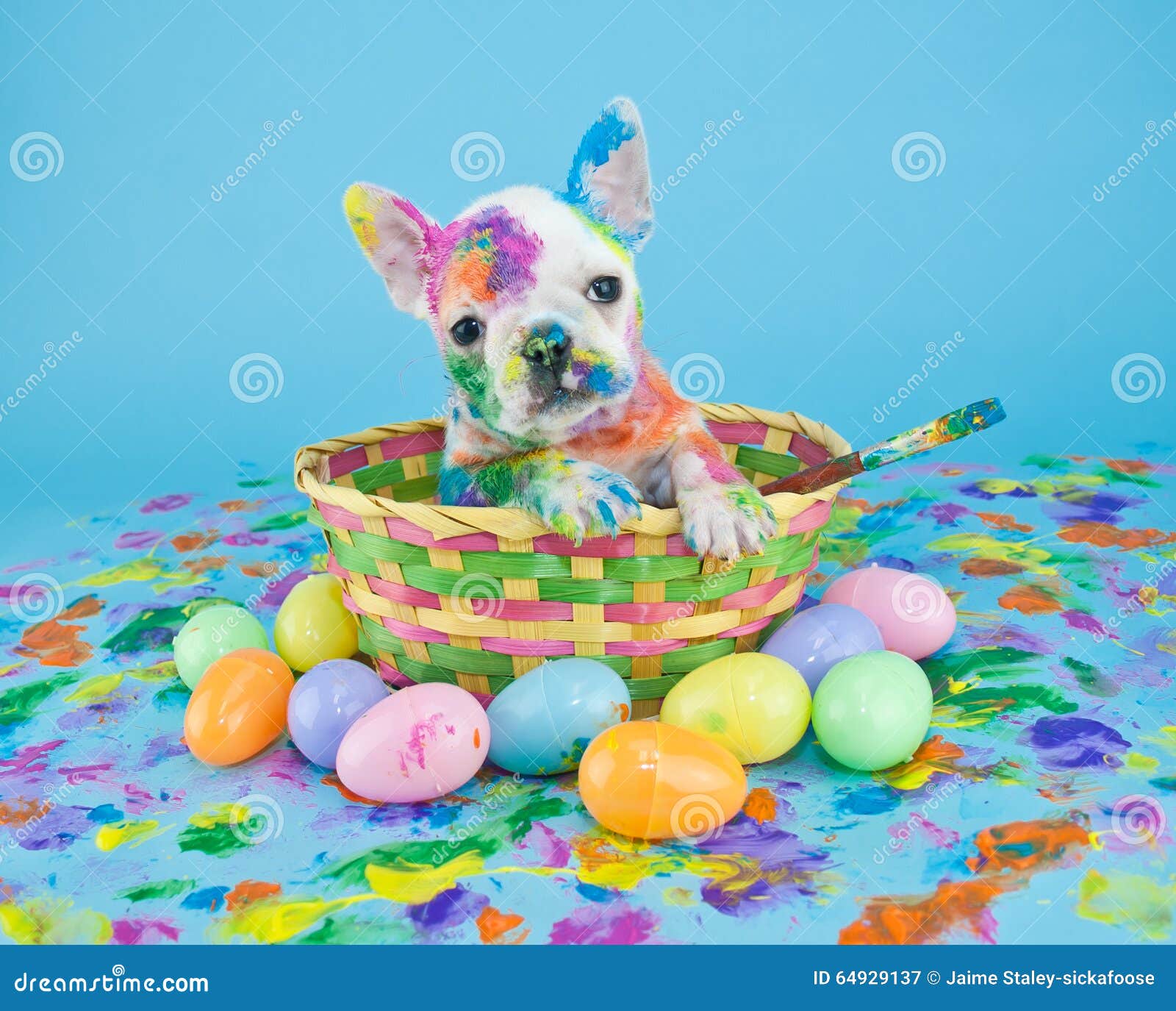 happy easter french bulldog