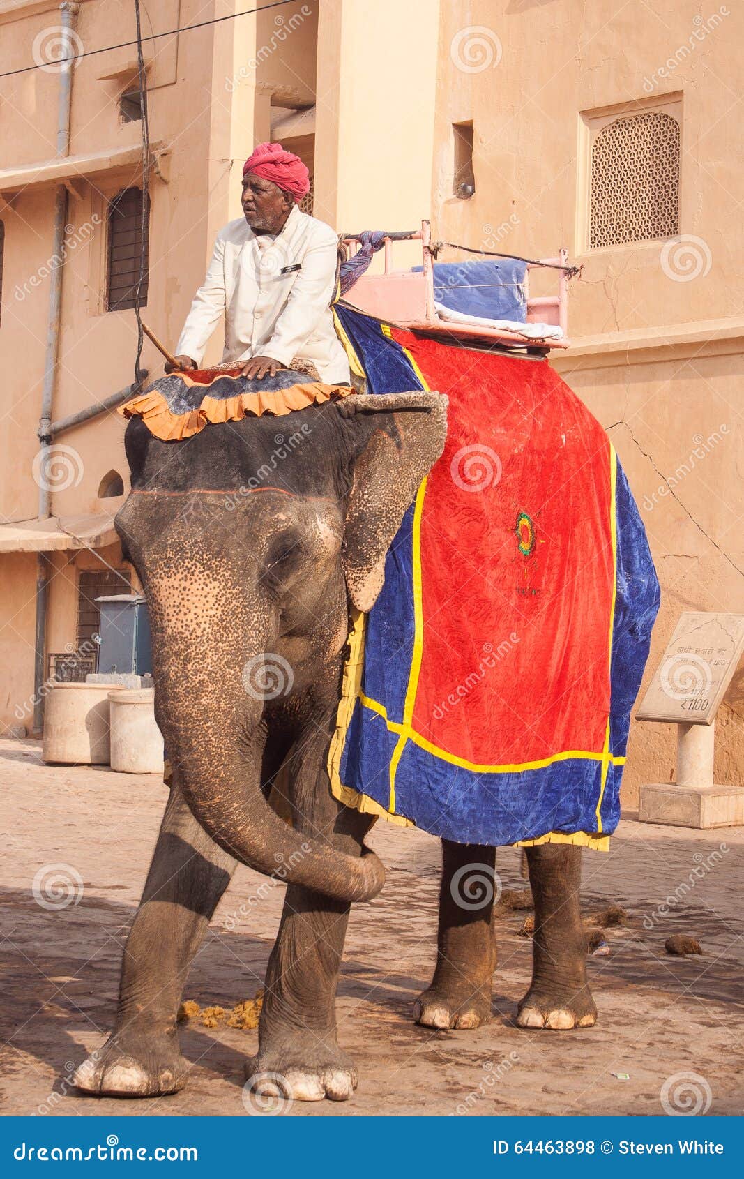 Painted Elephant with Rider in Jaipur Editorial Stock Photo Image of