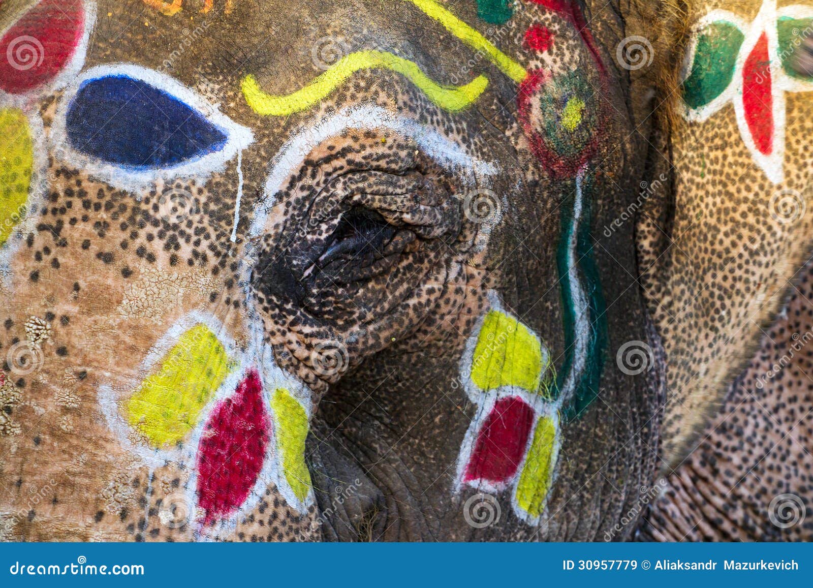 Painted elephants eye stock image. Image of paint, india 30957779