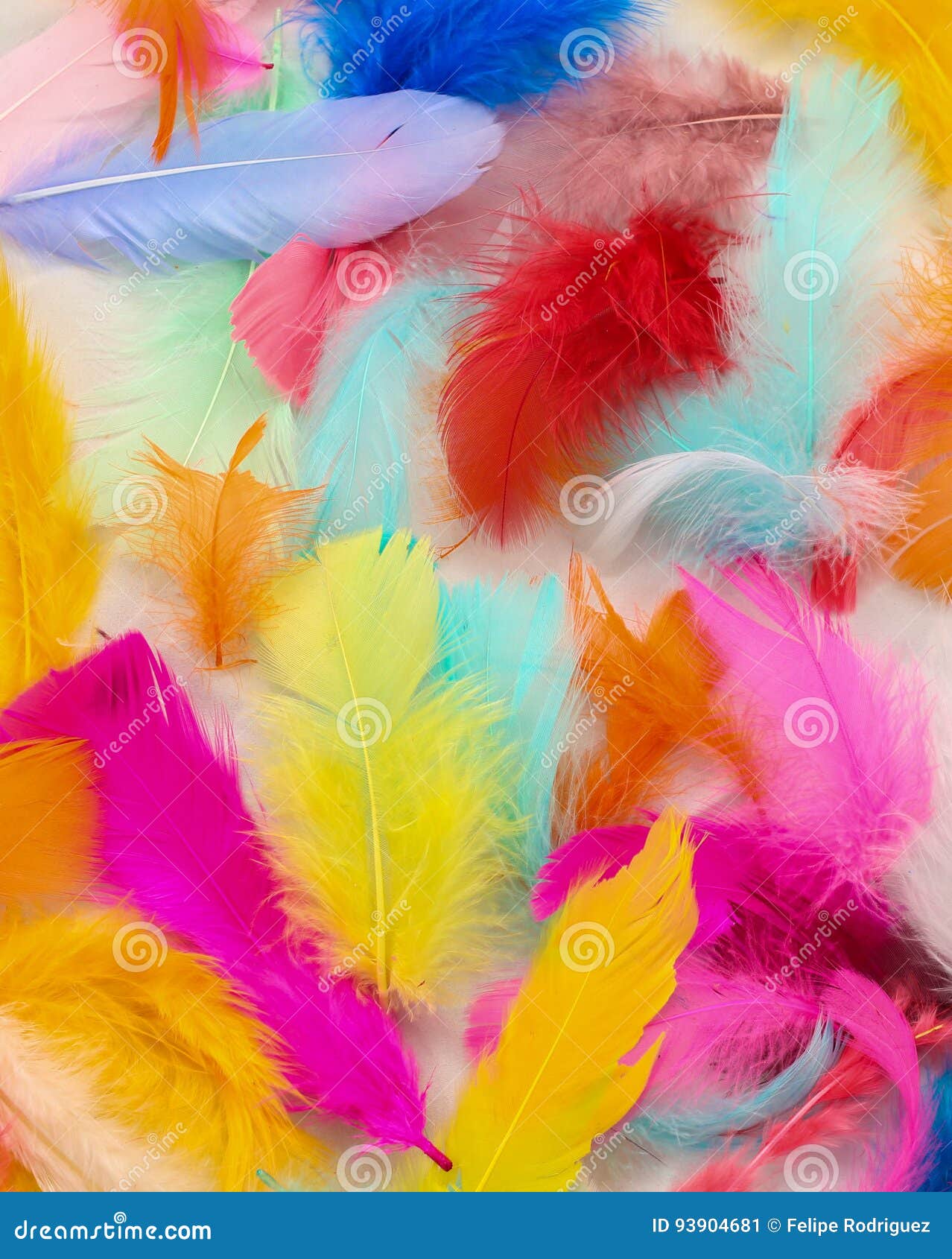 painted feathers