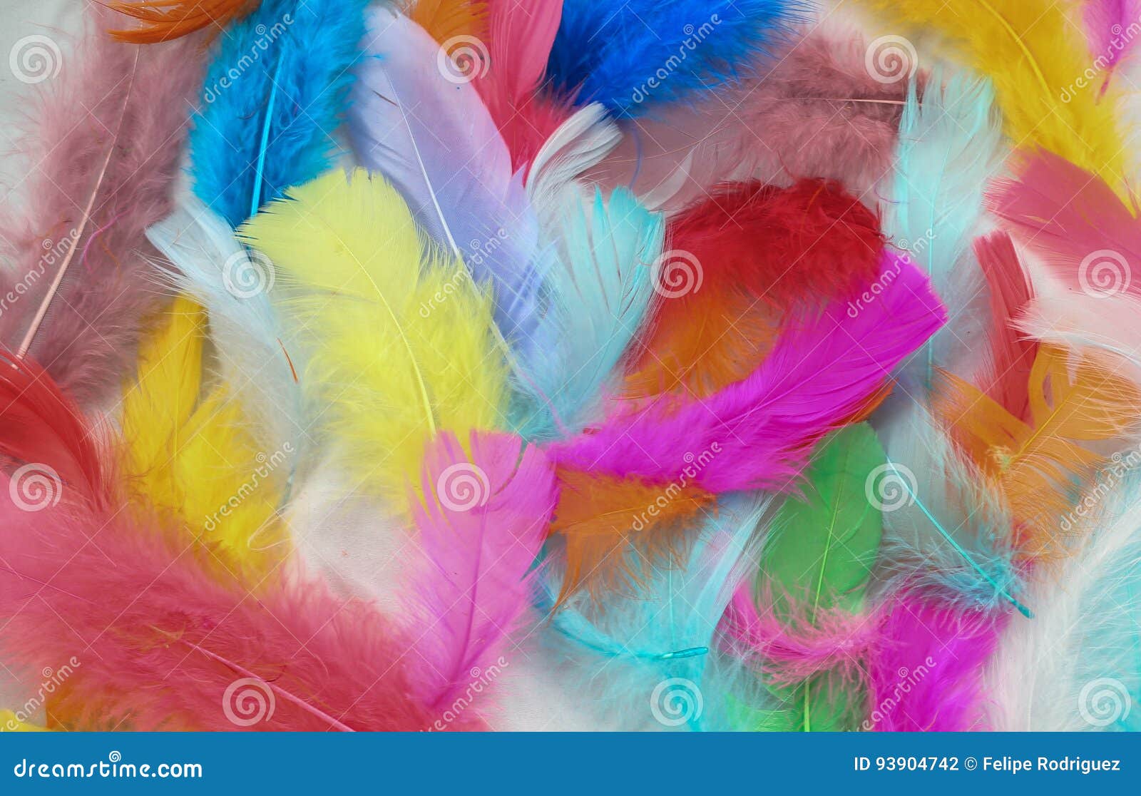 painted feathers