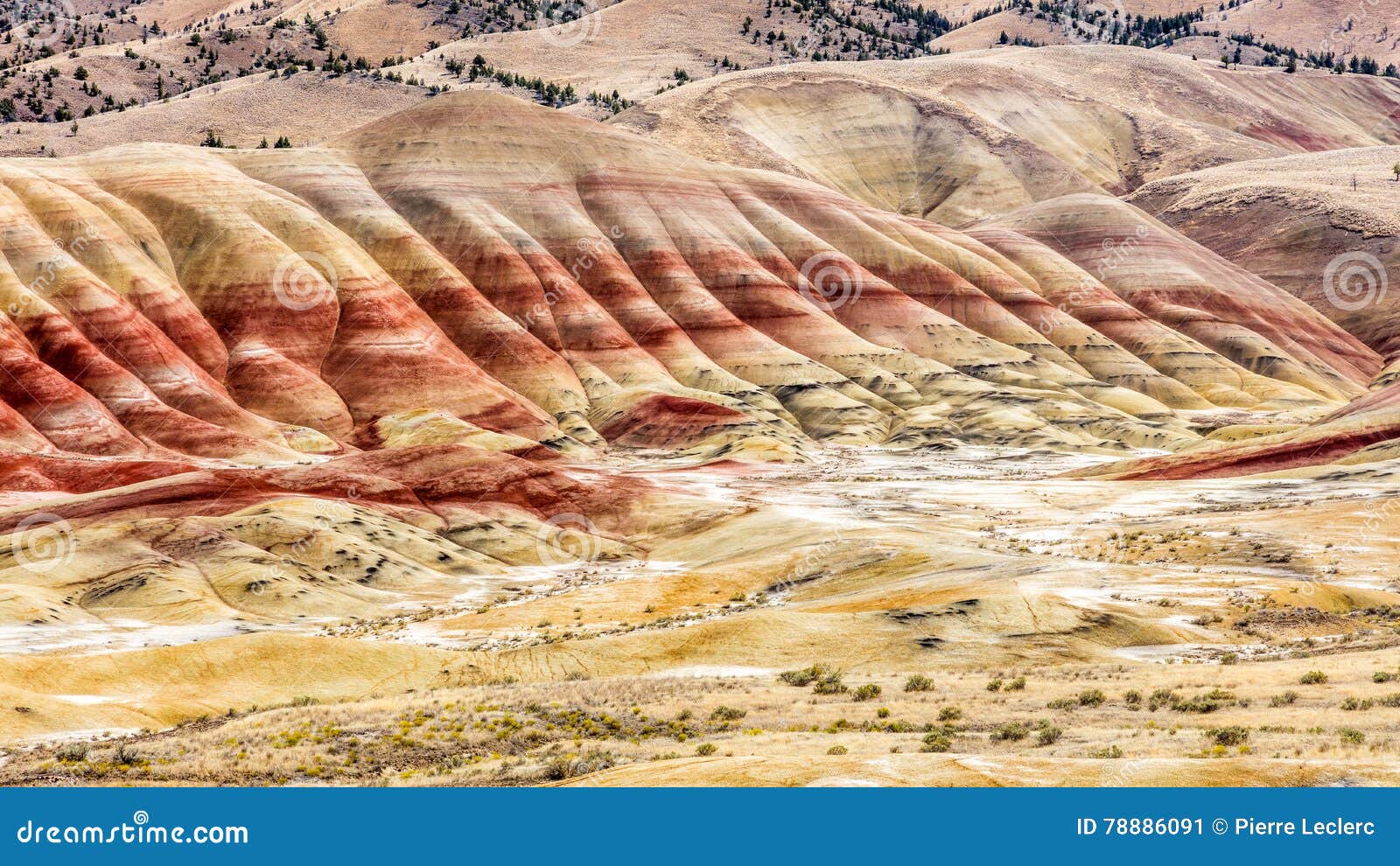 the painted hills of john day fossil beds