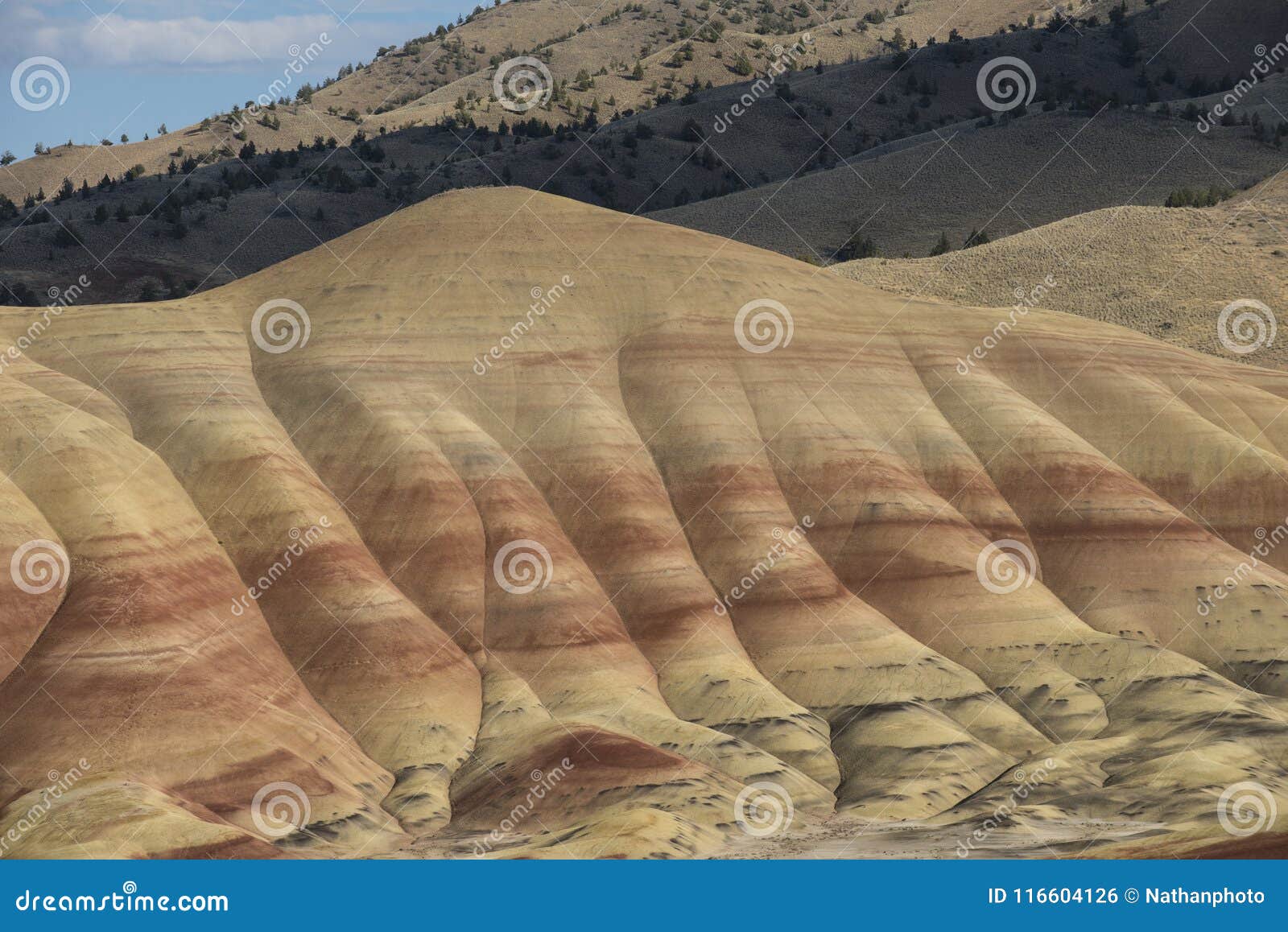 red sedimentary layers in painted hills, oregon