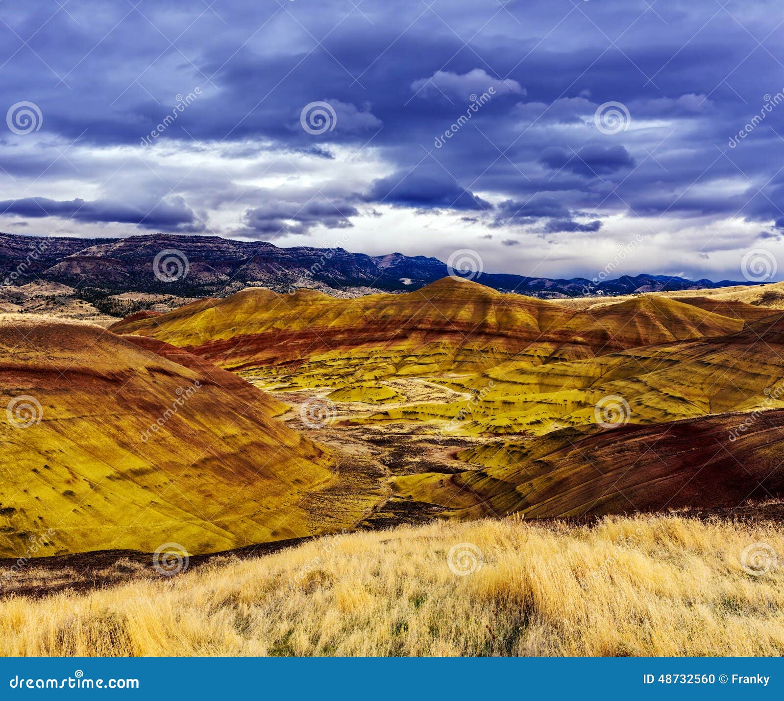 My Image 32