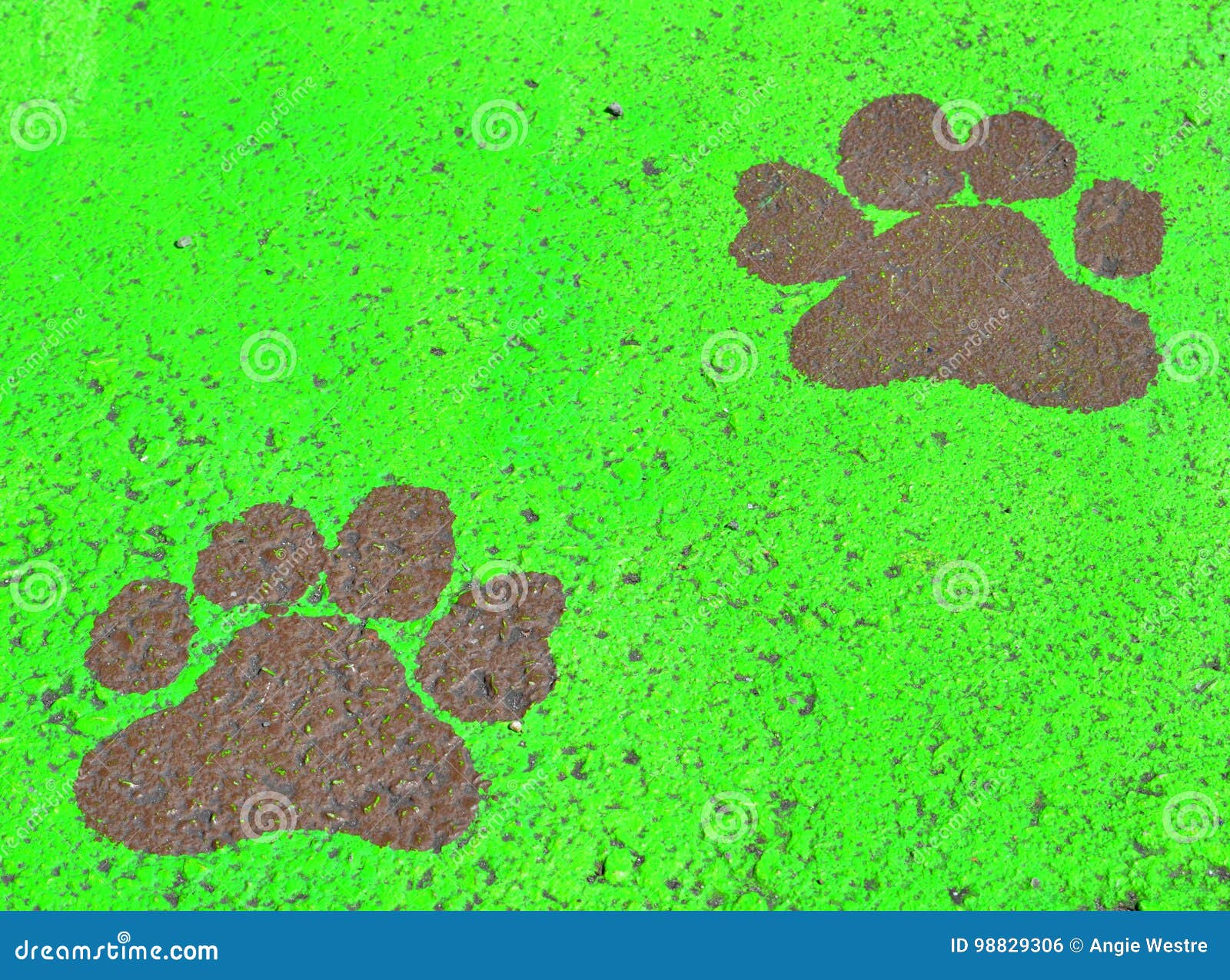 Painted paw prints stock photo. Image of craft, unique - 98829306