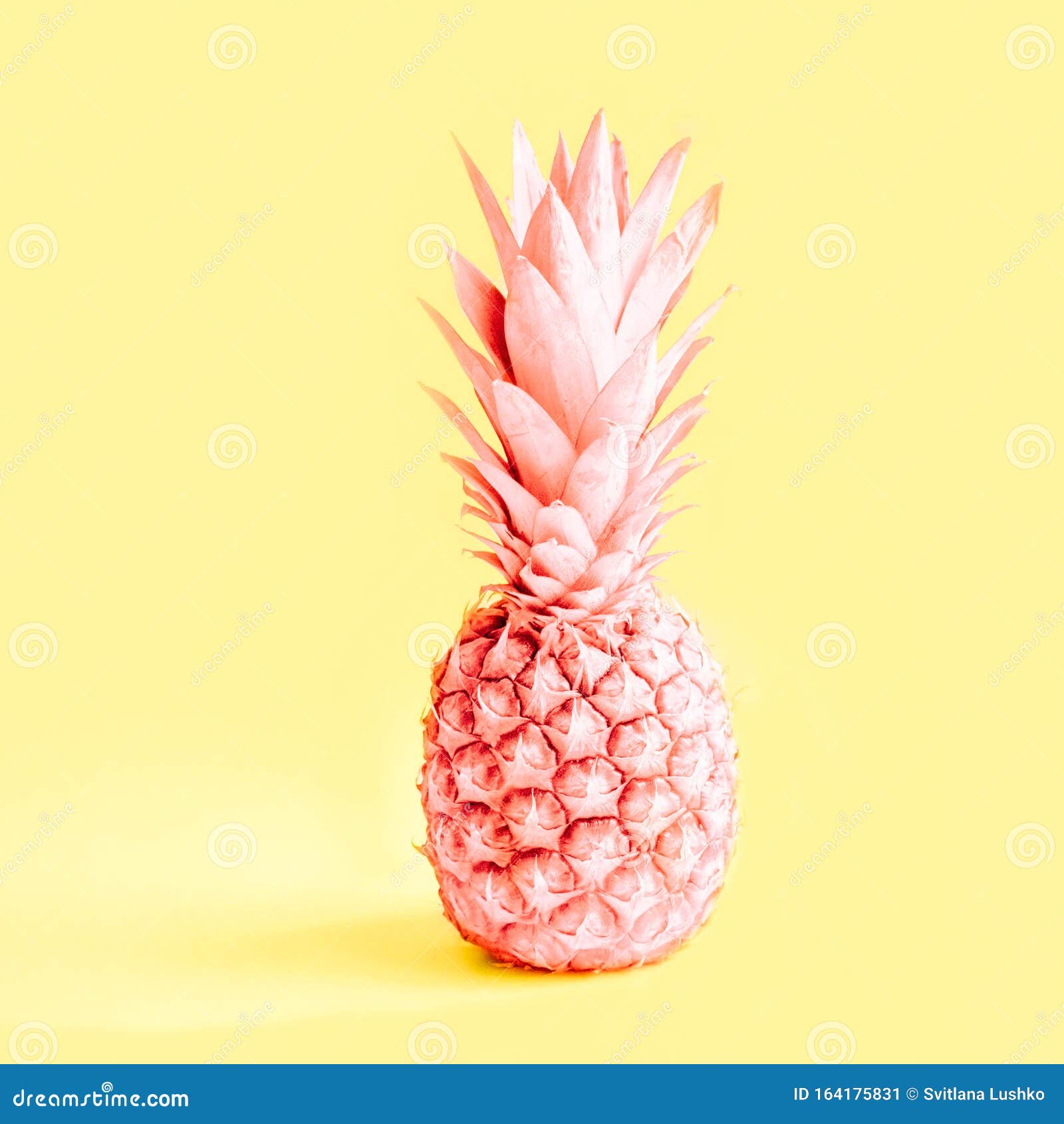 Painted Pink Pineapple on Yellow Background. Minimalism Concept Stock Image  - Image of light, summer: 164175831
