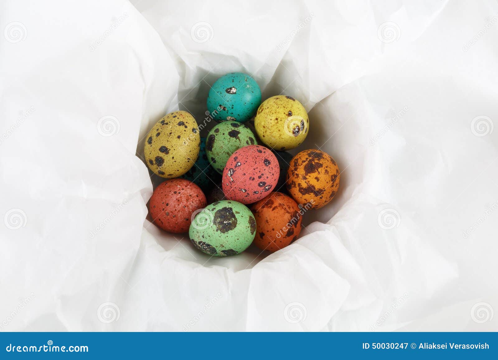 Painted quail eggs stock image. Image of healthy, metaphor 50030247