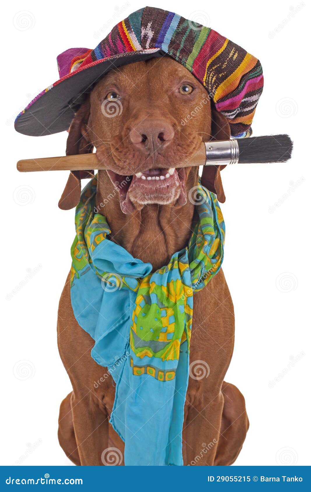 dog portrait painter dog portrait painter