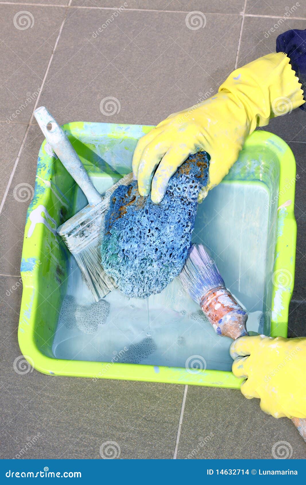 Painter Brush Sponge Paint Rollers Cleaning Stock Photo Image of