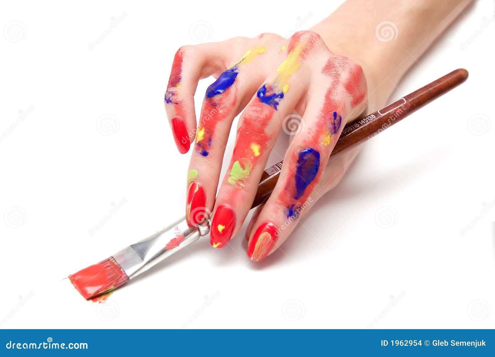 Painter s hand stock photo. Image of artist, isolated 1962954