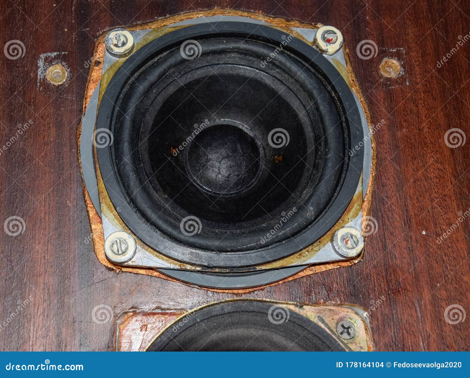 Painting Diffusers of Speakers with Stamp Paint To Give Them Aesthetics