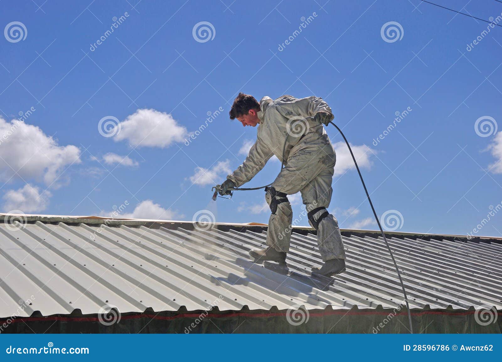 Painting the roof stock photo. Image of master, adults 28596786