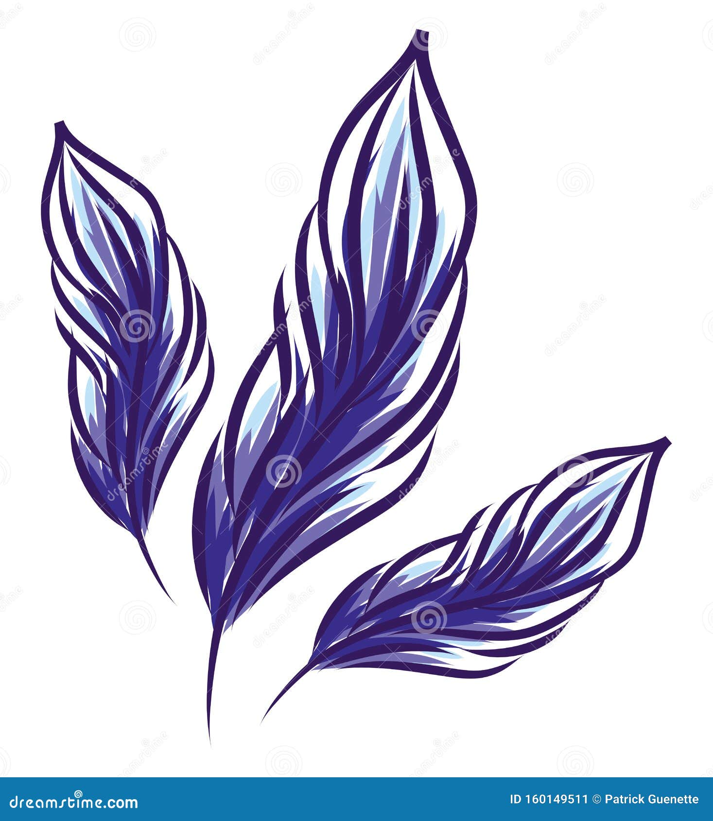 Three Blue Feathers Stock Photo, Picture and Royalty Free Image. Image  98984489.