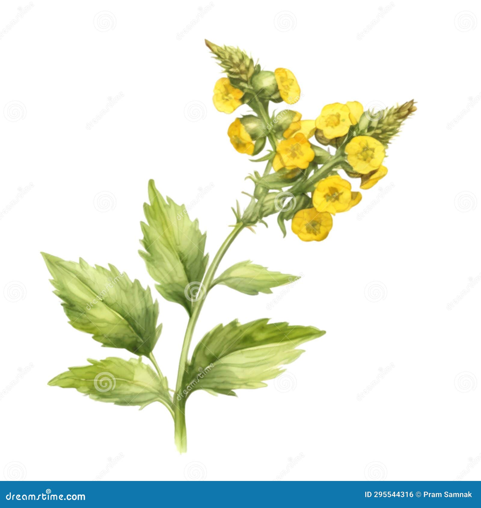 a painting of the yellow rattle plant. ai-generated.