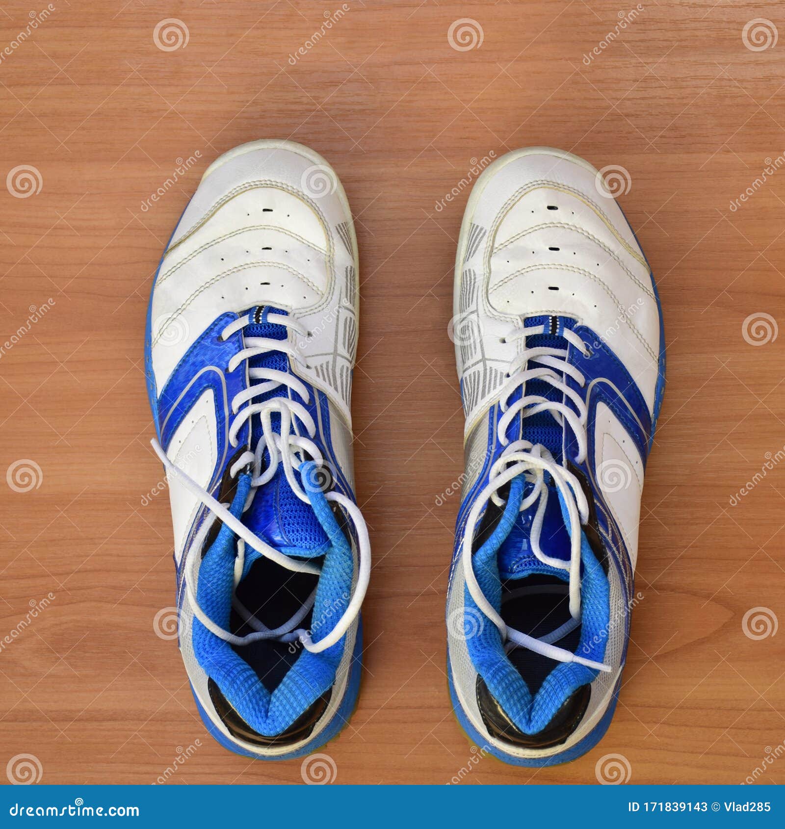 A Pair of Badminton Sneakers on Wooden Background. Stock Image - Image ...