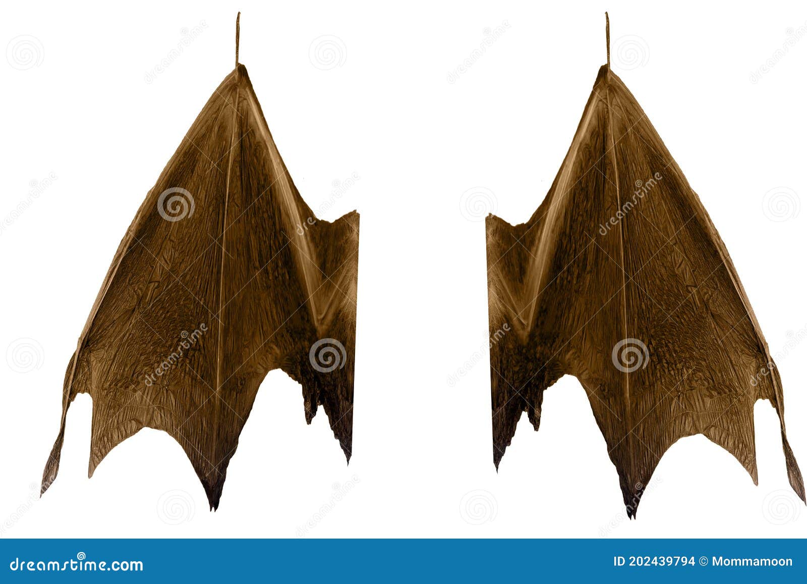 Batwings