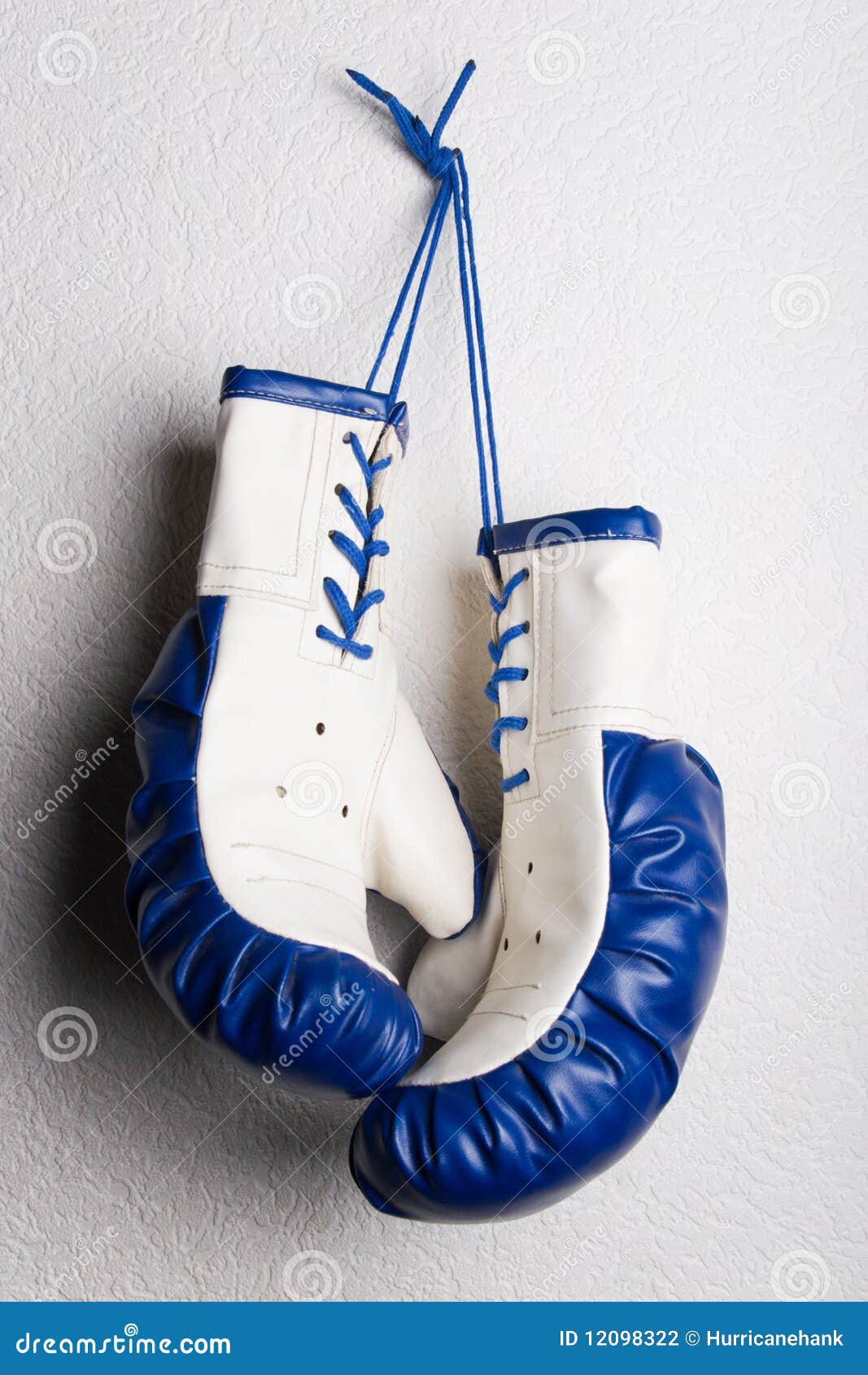 Pair of boxing gloves stock photo. Image of pair, professional 12098322