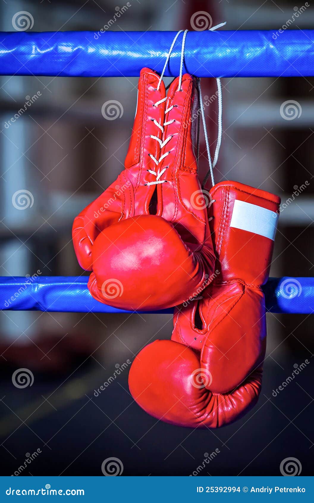 ring boxing gloves