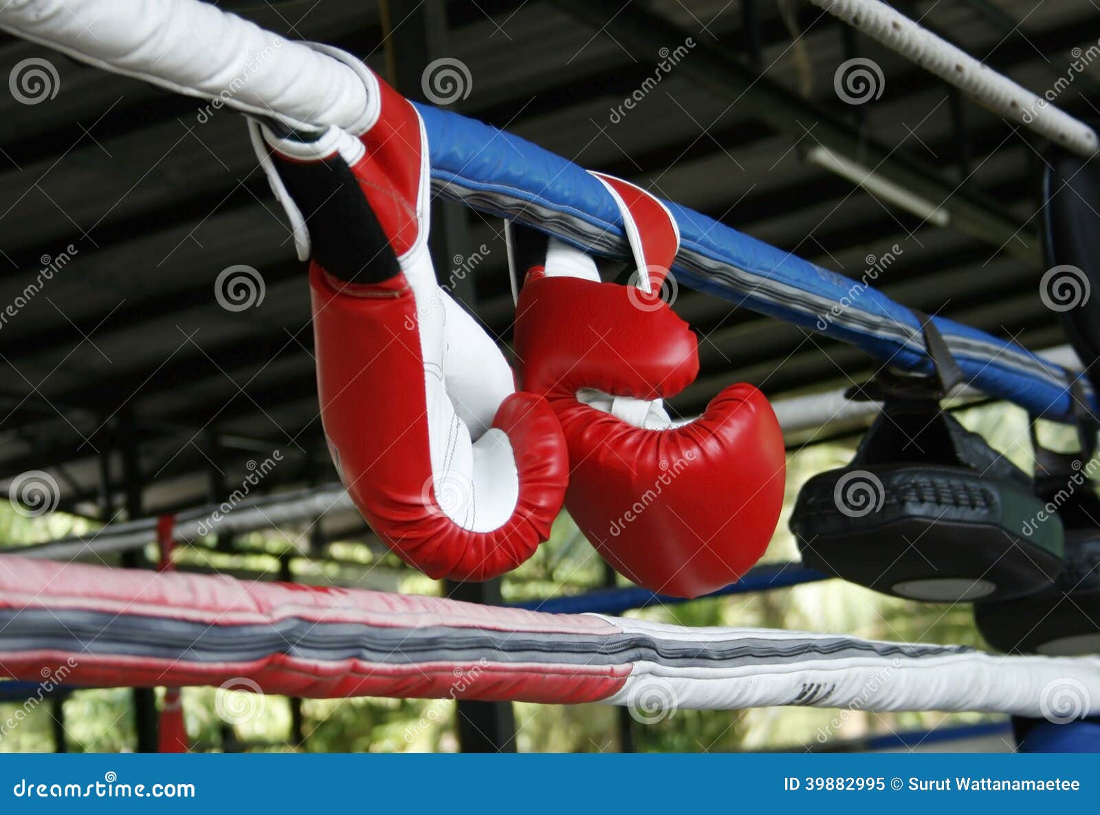 A pair of boxing gloves stock image. Image of combat 39882995