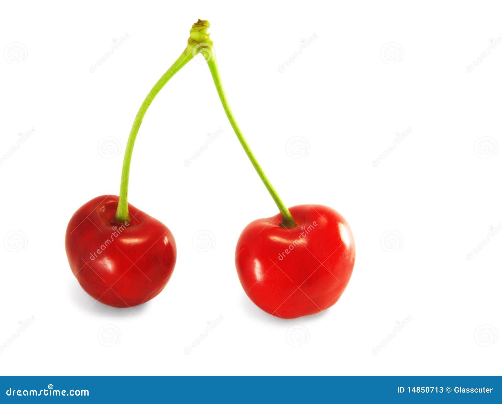 A Pair Of Cherries Stock Photos - Image: 14850713