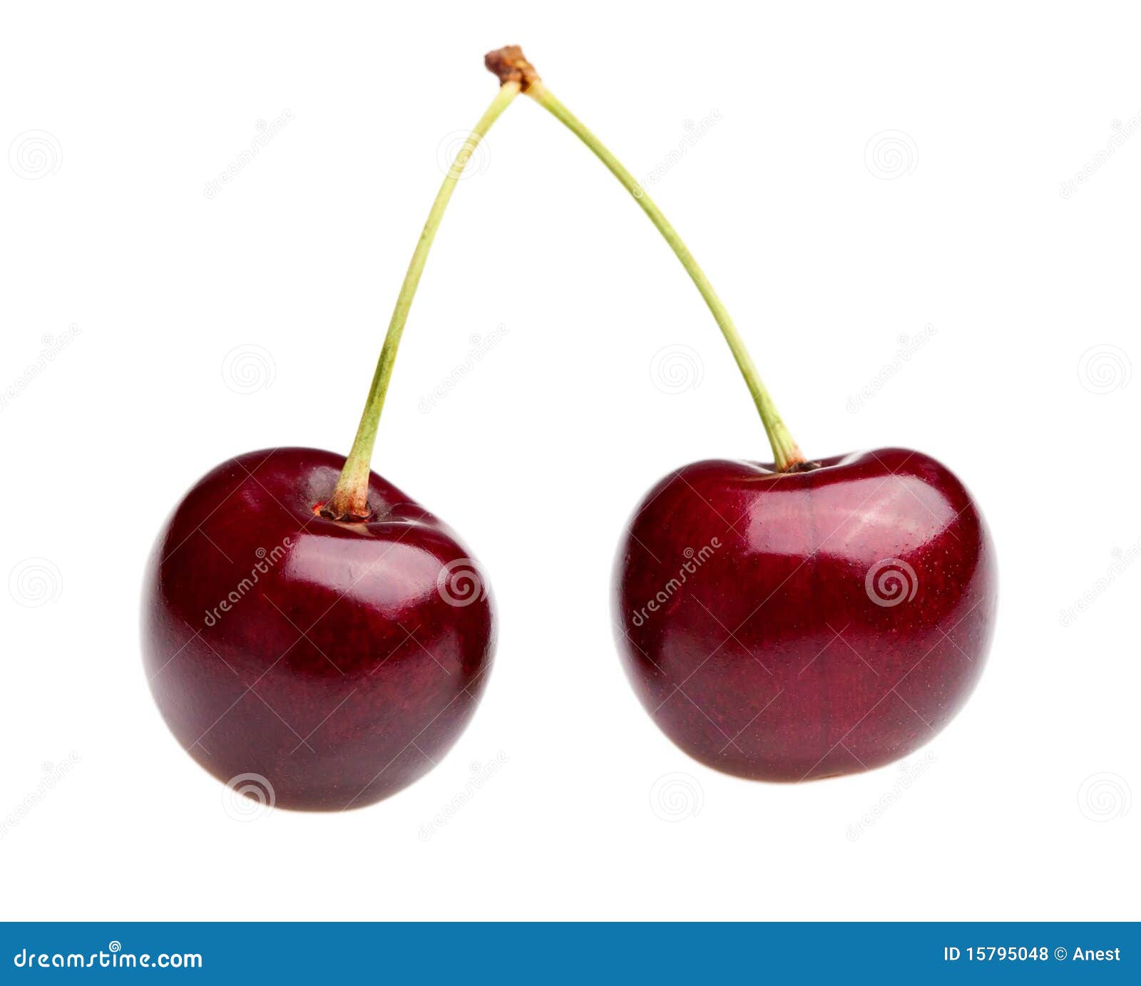 Pair of Cherries stock photo. Image of organic, 15795048