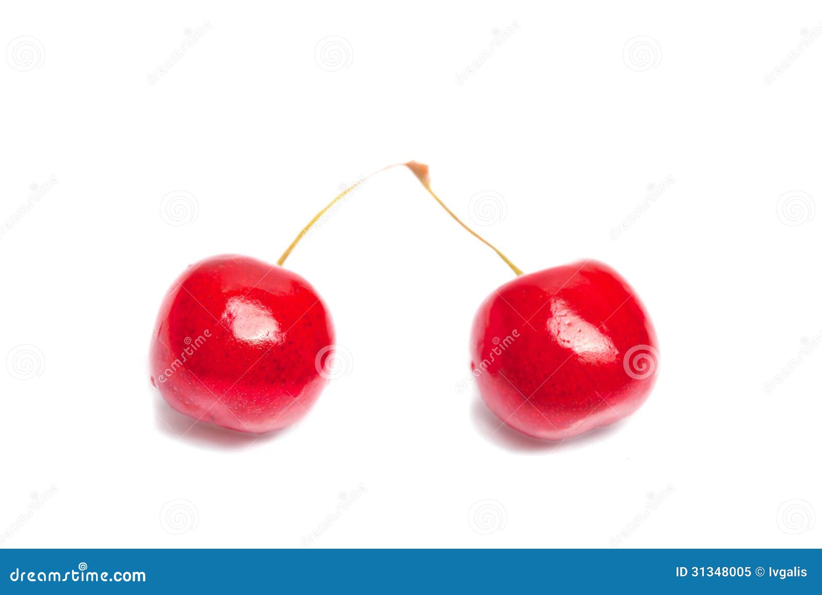 Pair of cherries stock image. Image of agriculture, nutrition - 31348005