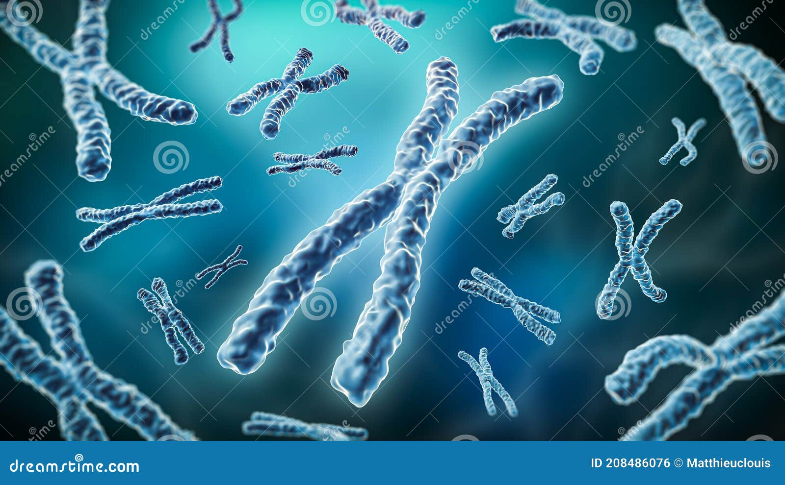 Duplicated Homologous Chromosomes Pair And Crossing Over Cartoon Vector 
