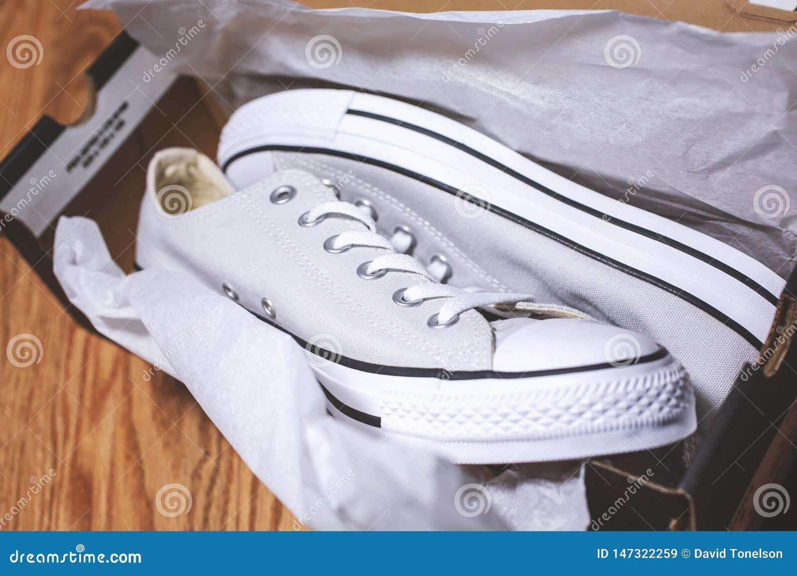 A Pair of Converse Inside the Box Editorial Stock Image - Image of trees,  name: 147322259