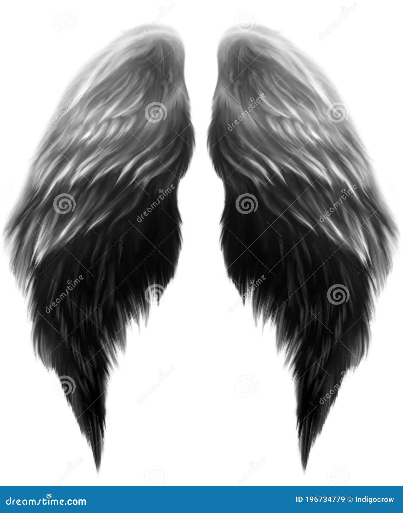Painted Angel Wings stock image. Illustration of faeries - 196734779