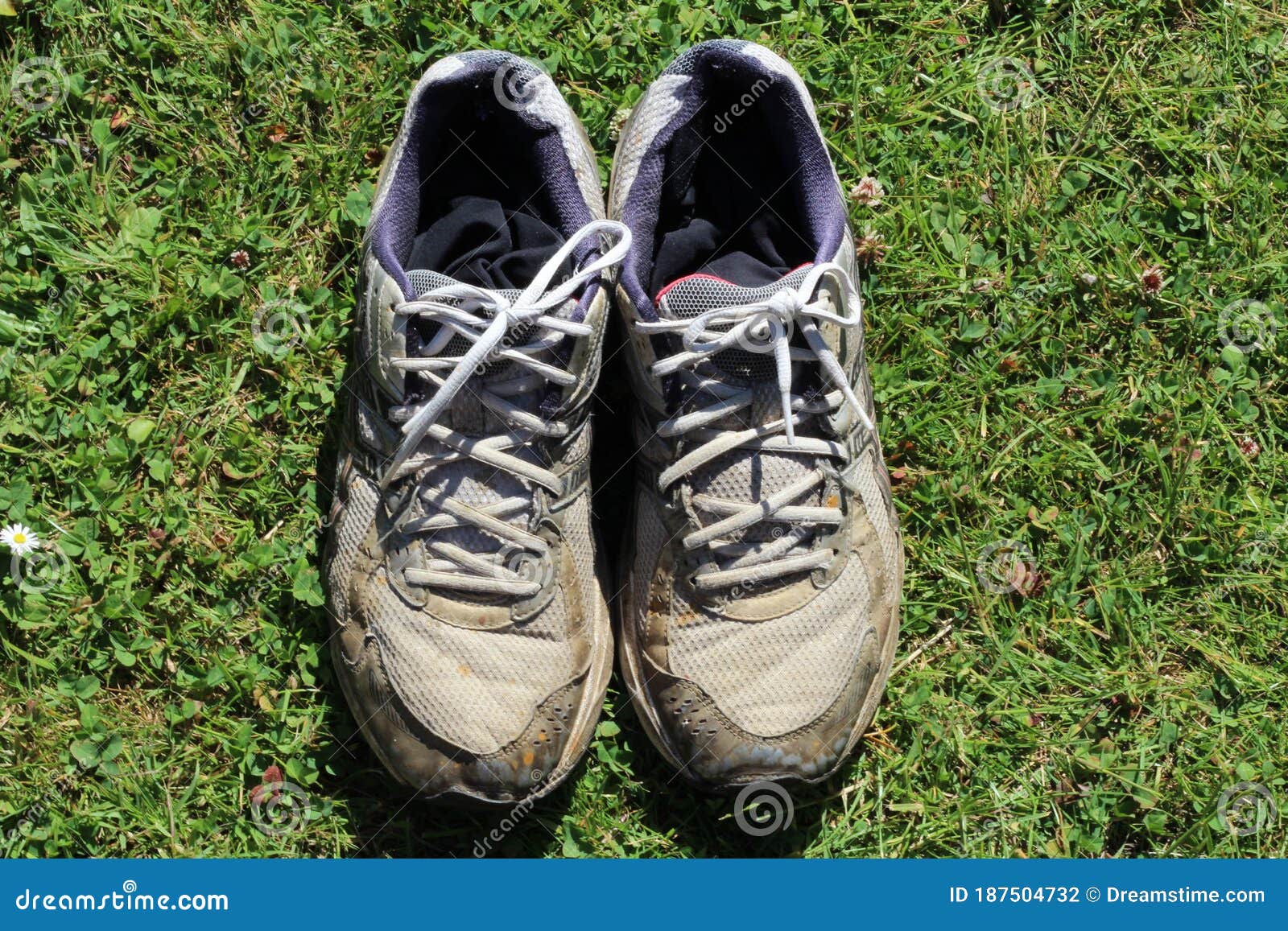Pair of Dirty Used Trainers Stock Photo - Image of sport, muddy: 187504732