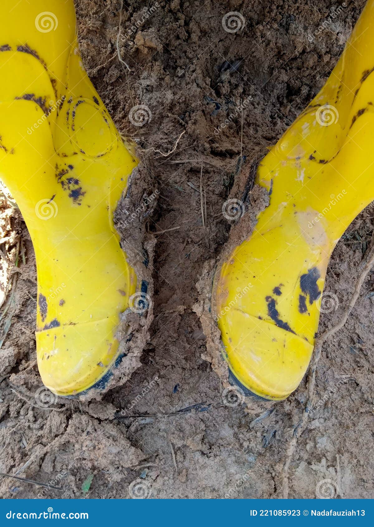 A Pair of Dirty Yellow Boots, after Being Worn for Work in the Garden ...