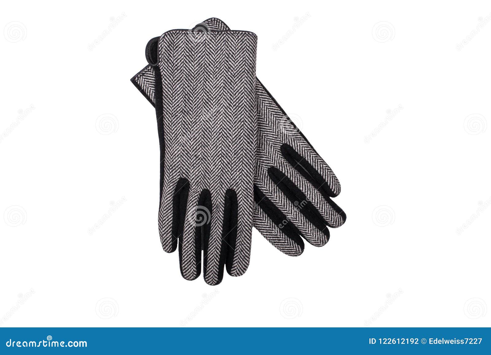 Pair of Elegant Women Gloves Stock Photo Image of isolated, clothing
