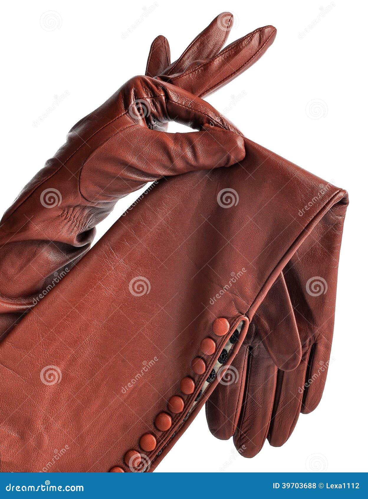 A Pair of Elegant Womens Leather Gloves Stock Photo Image of natural