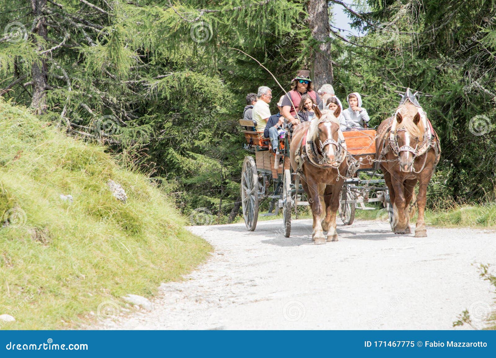 Pair of Horses Pulling a Cart with People on Board, in a Path with