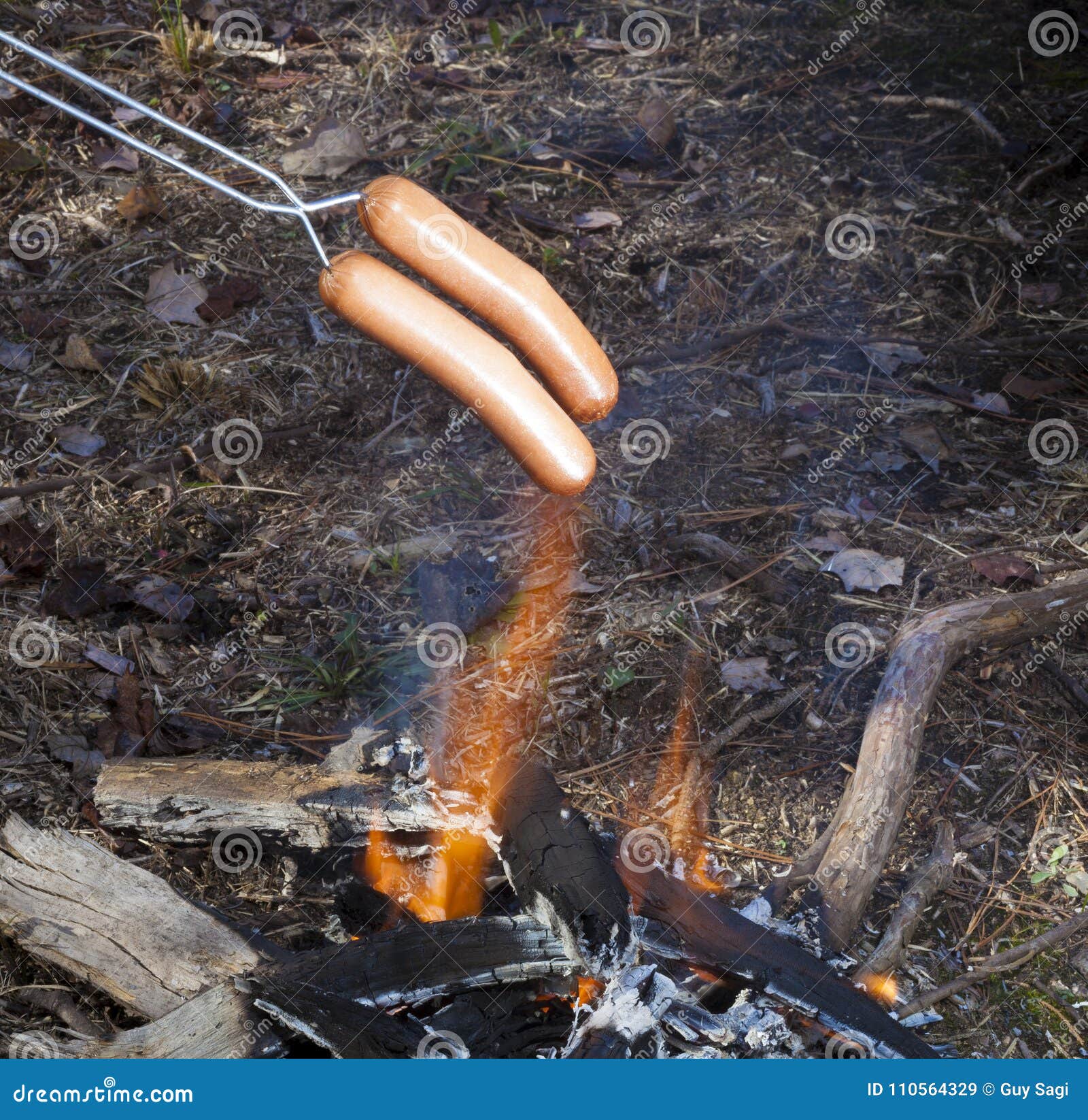 Collection 97+ Images how to cook hot dogs over an open fire Superb