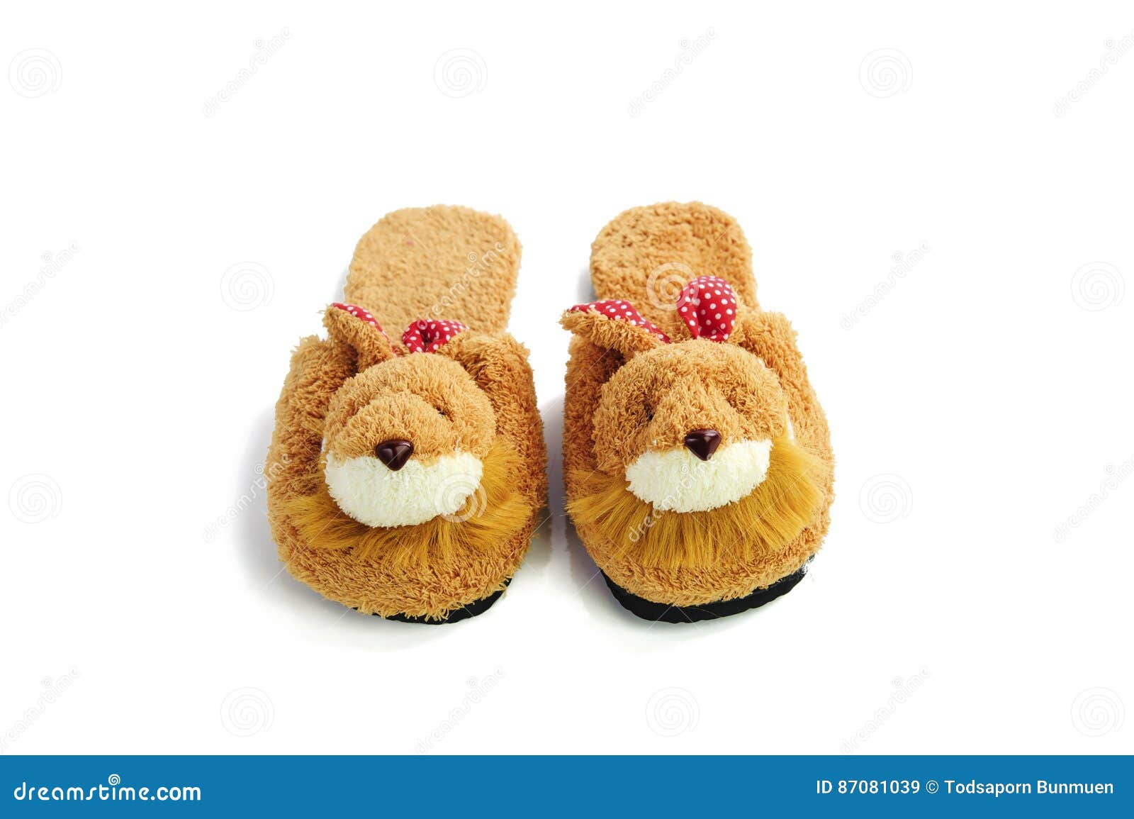 Pair of House Shoes on a White Background Stock Image Image of