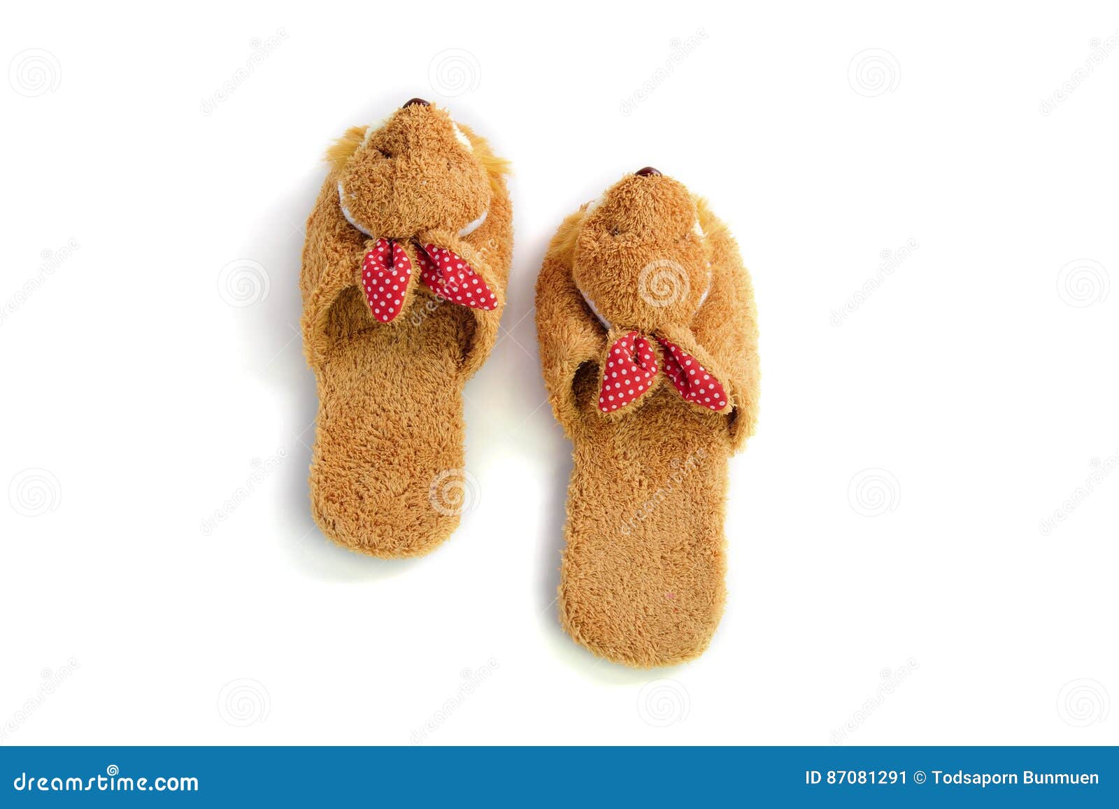 Pair of House Shoes on a White Background Stock Image Image of