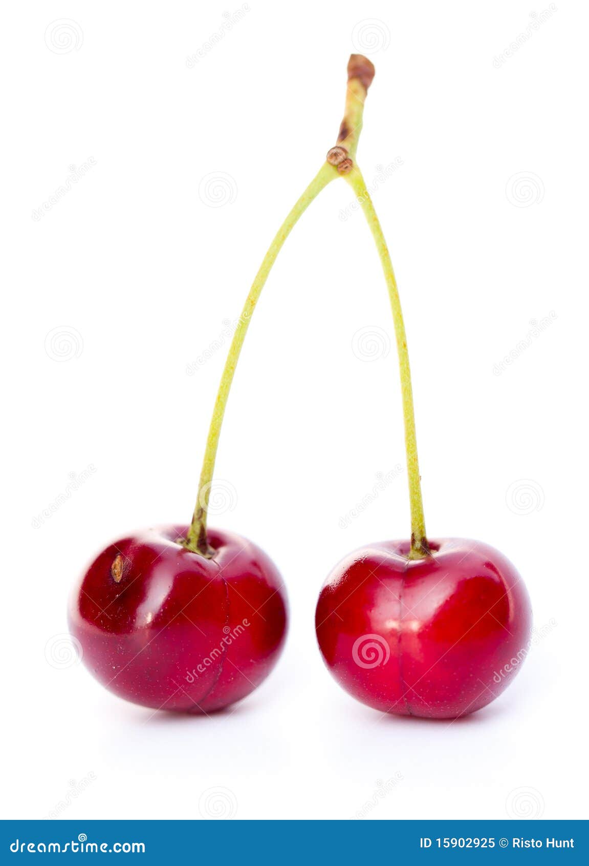 Pair of isolated cherries stock image. Image of dark - 15902925