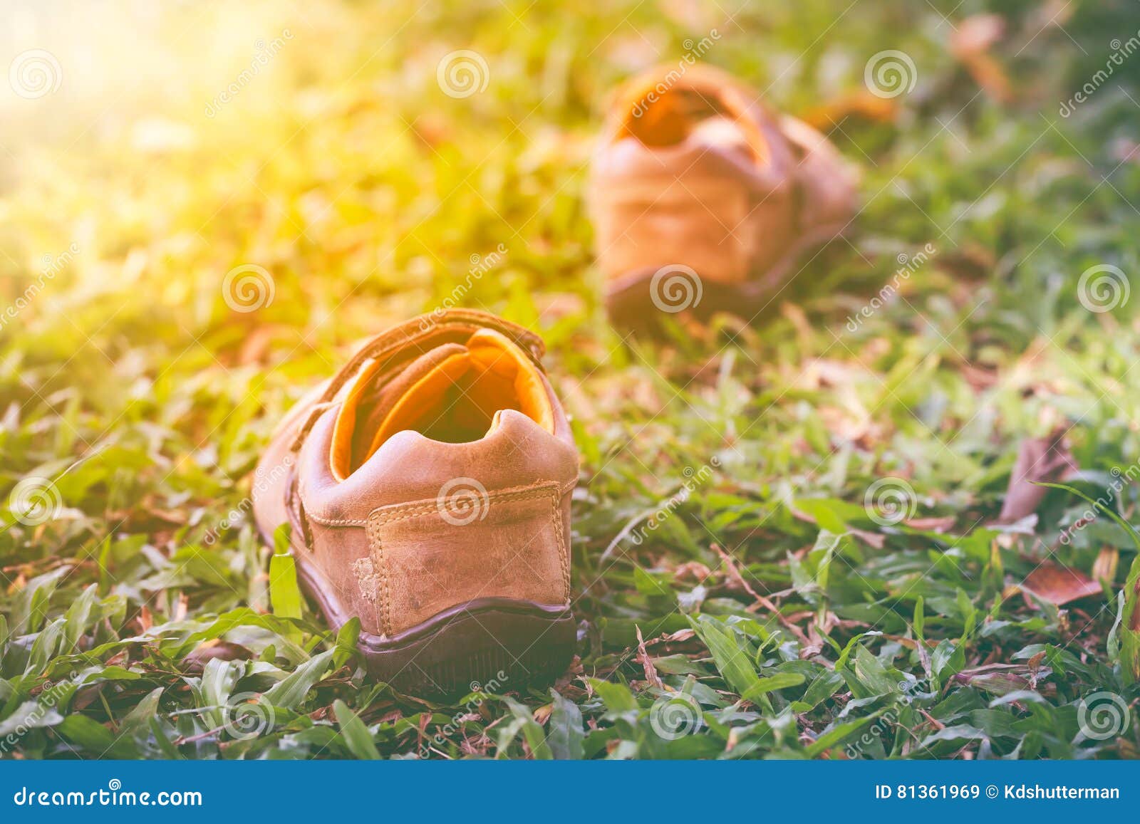 A Pair of Leather Shoes on Green Grass with Sunlight. Stock Image ...