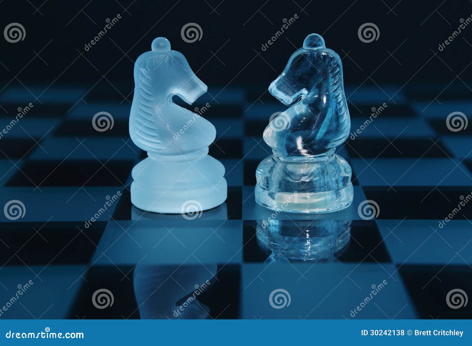 pair of chess knights partnership