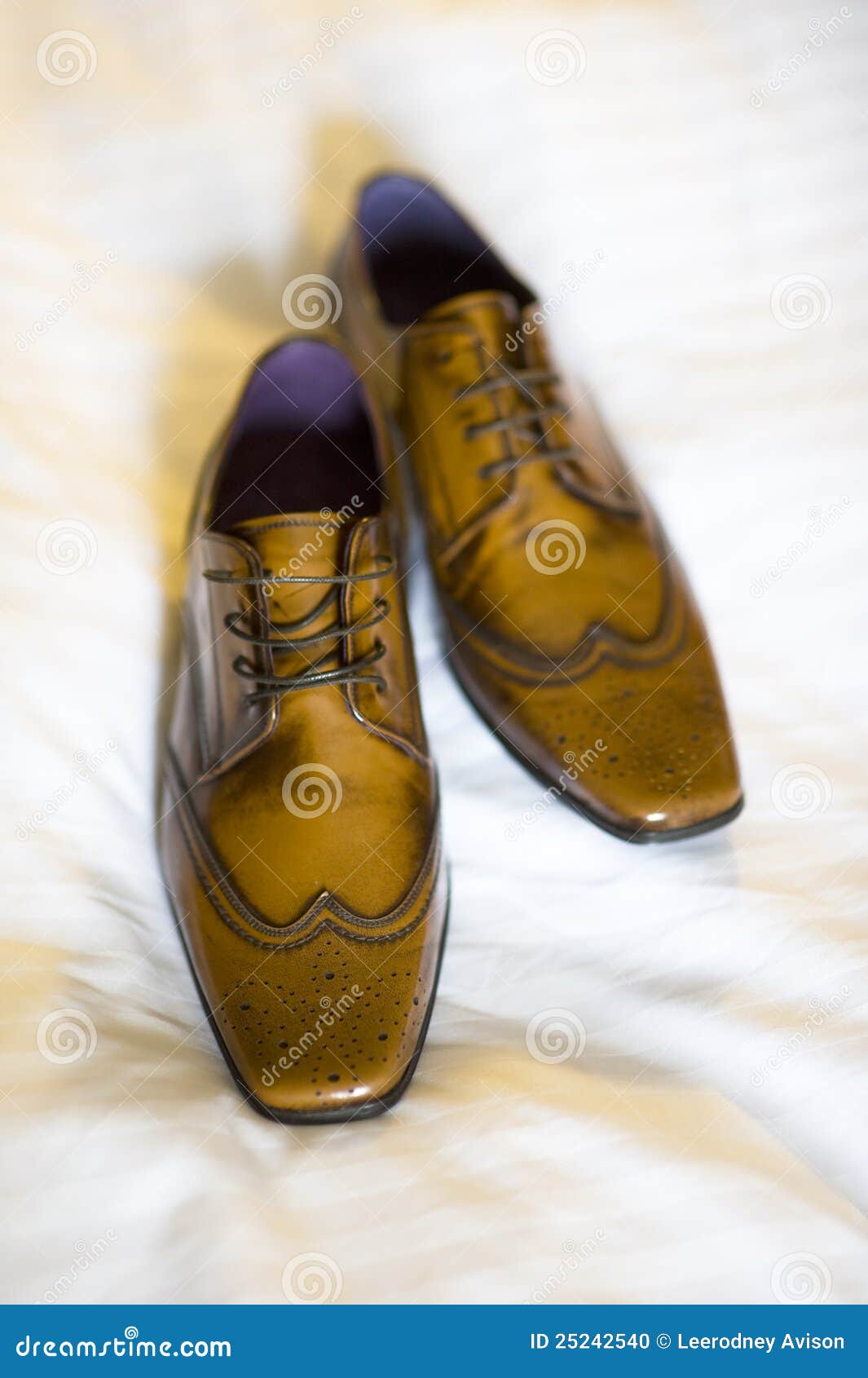 Pair of mens brogue shoes stock photo. Image of formal - 25242540