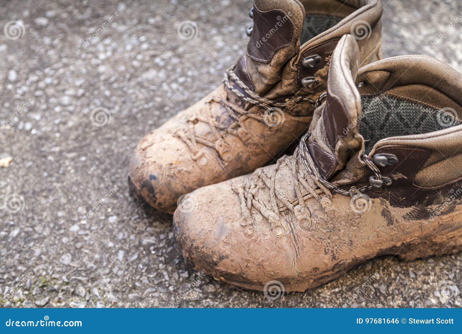 best walking shoes for muddy conditions