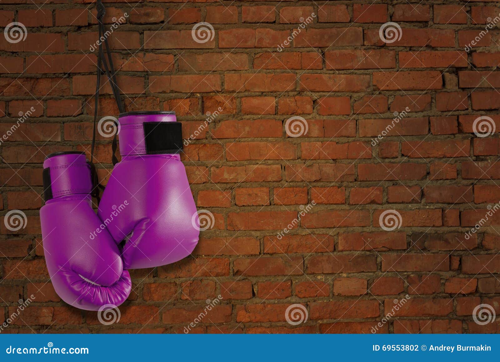 Pair of Purple Boxing Gloves Stock Photo Image of fighter, leather 69553802