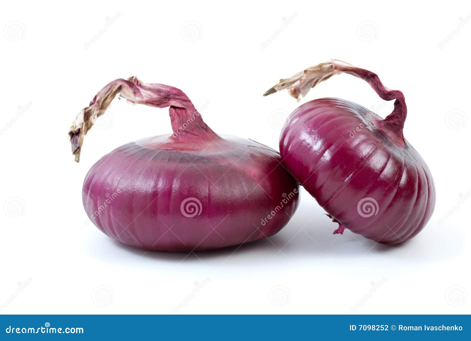 Pair of purple onions stock photo. Image of white, isolated 7098252