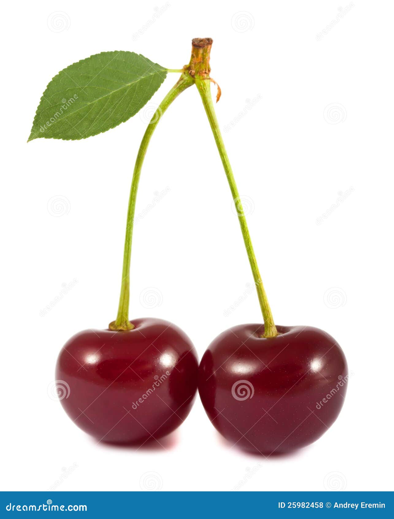 Pair of Red Cherries with Green Leaf Stock Photo - Image of green ...