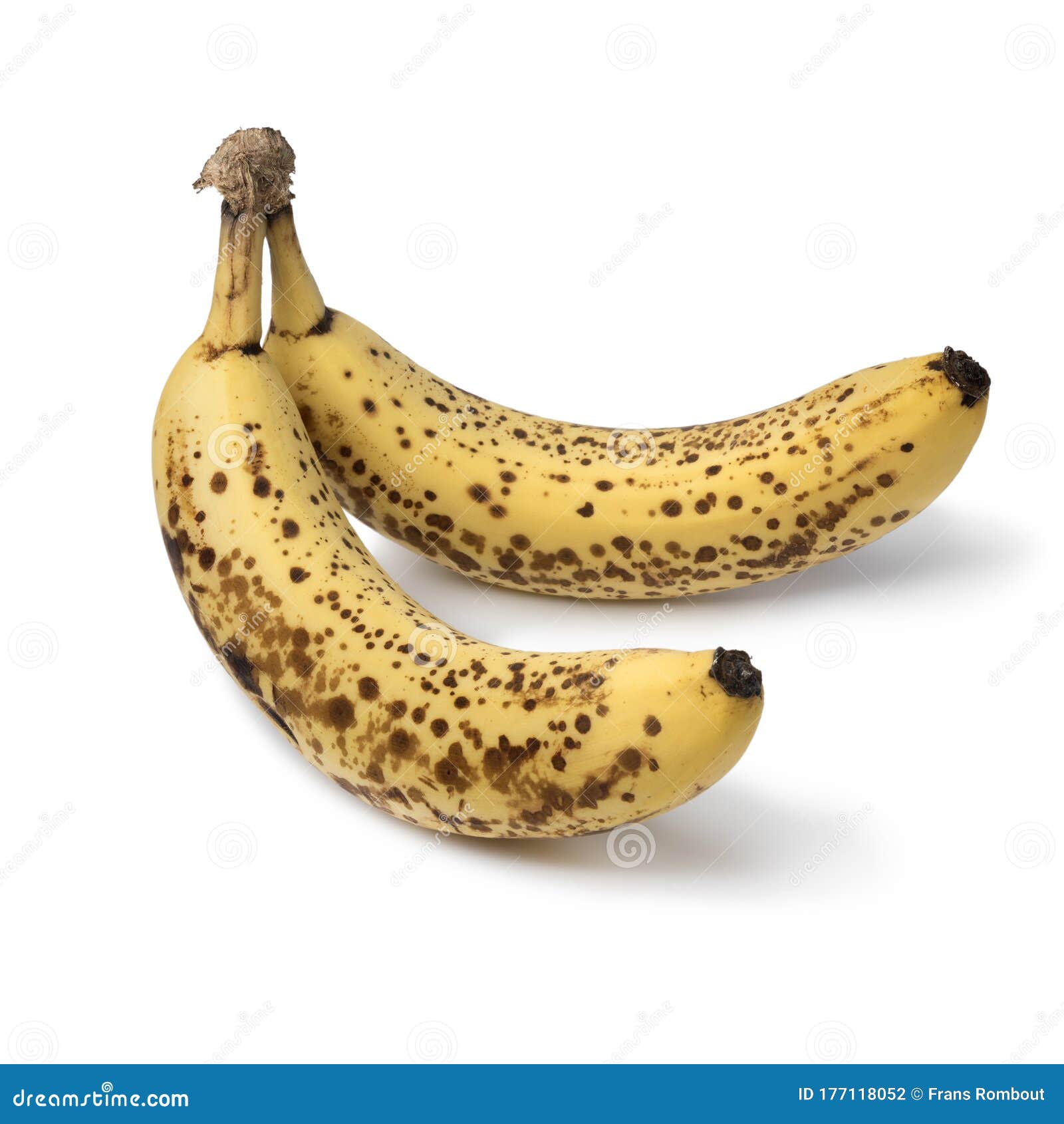 My Image 12