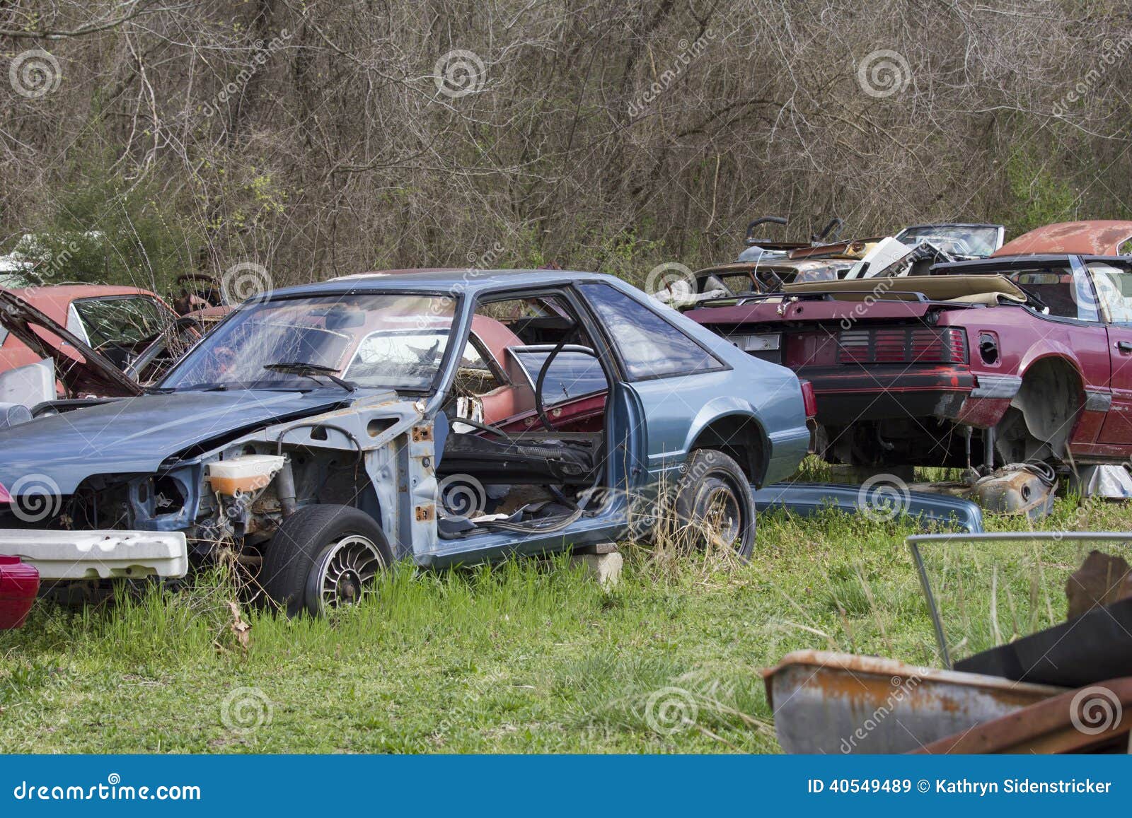a pair of 1990's ford mustangs in the salvage yard