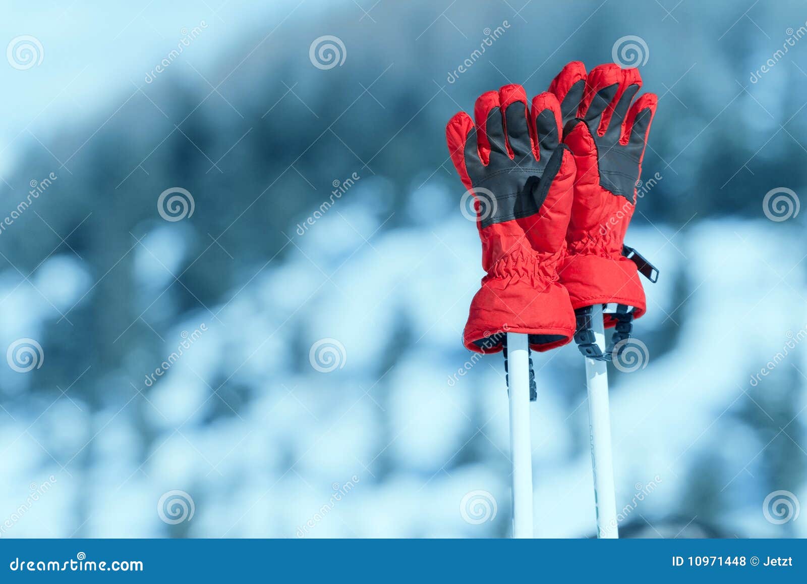 pair of ski gloves