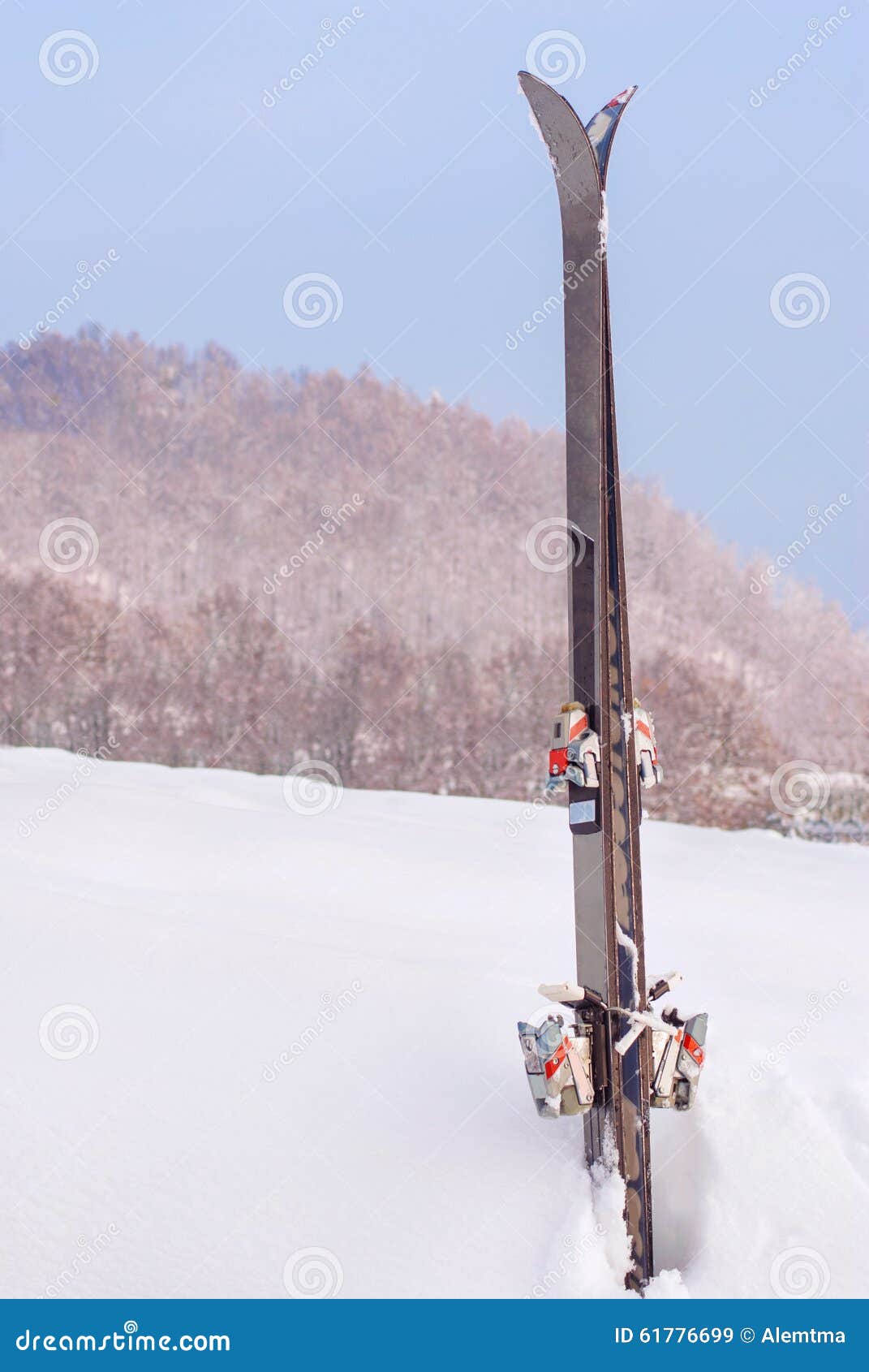 Pair of Ski in the Snow Standing Vertically Stock Image - Image of ...