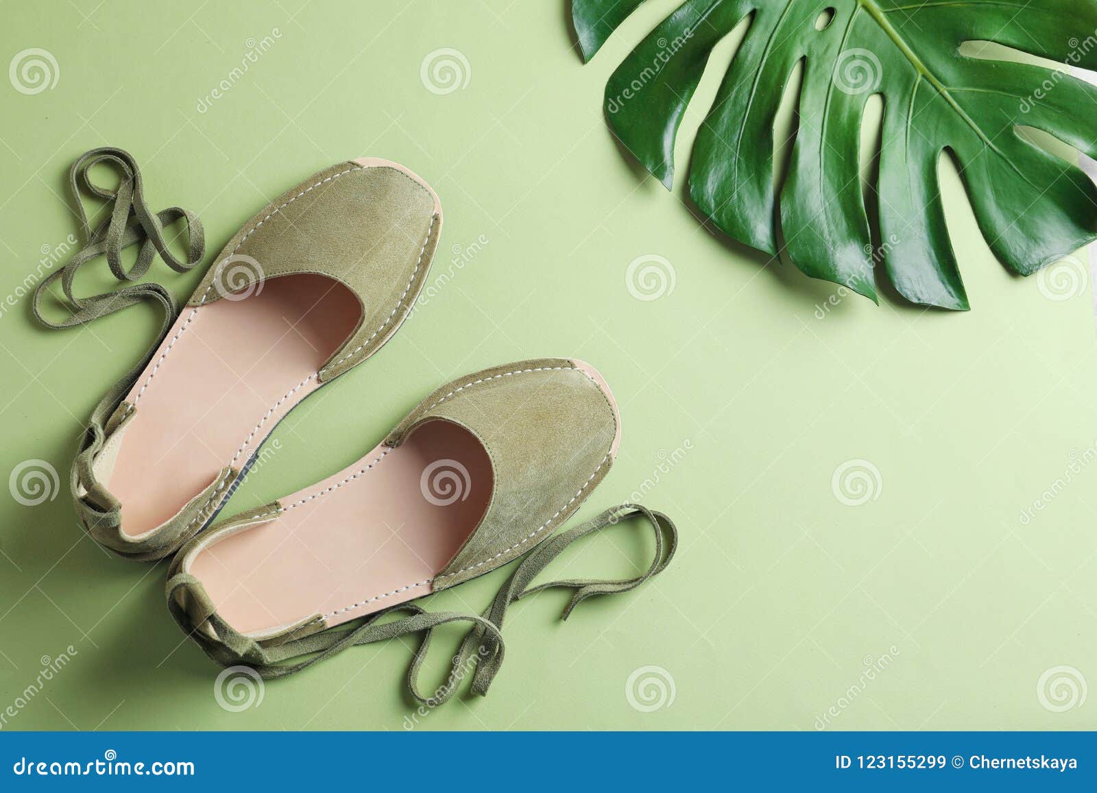 Pair of Trendy Women`s Shoes and Tropical Leaf Stock Image - Image of ...